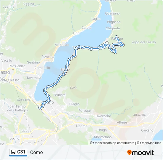 C31 Bus Line Map