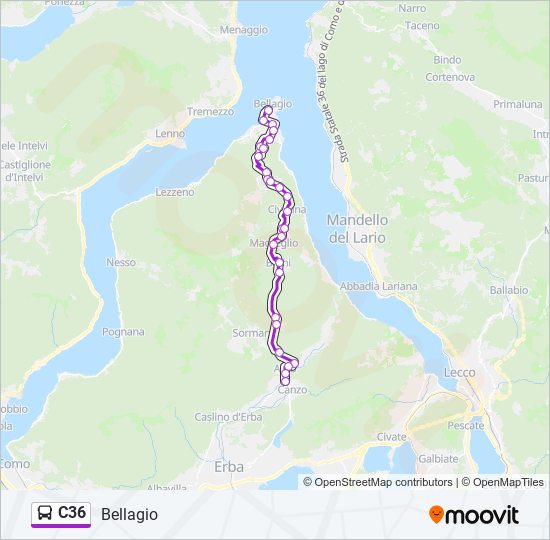 C36 bus Line Map