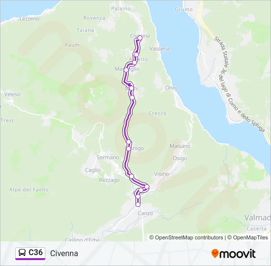 C36 Bus Line Map