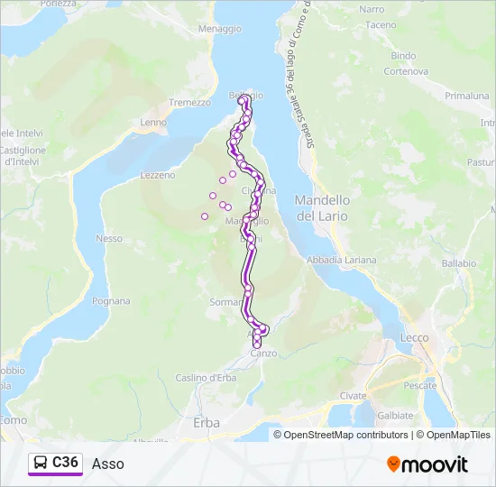 C36 Bus Line Map