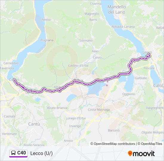 C40 bus Line Map