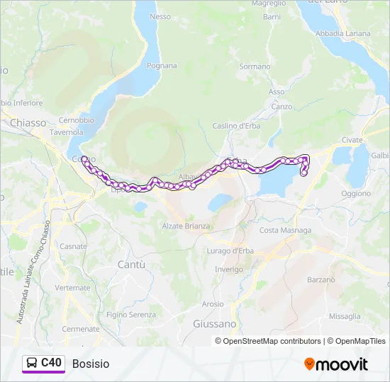 C40 Bus Line Map