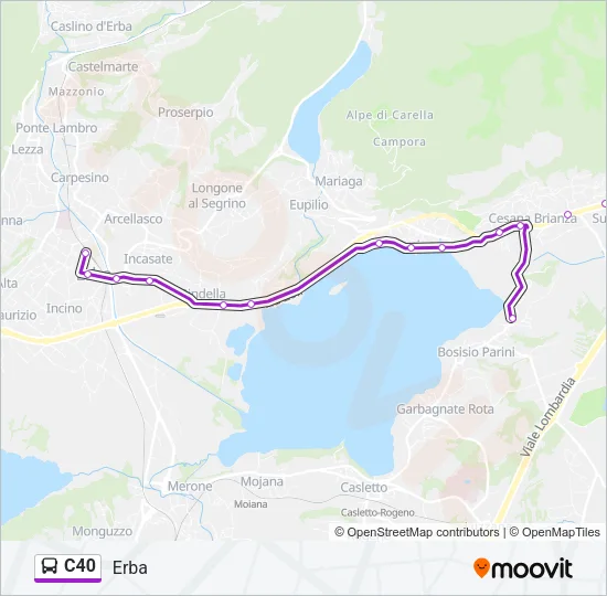 C40 Bus Line Map