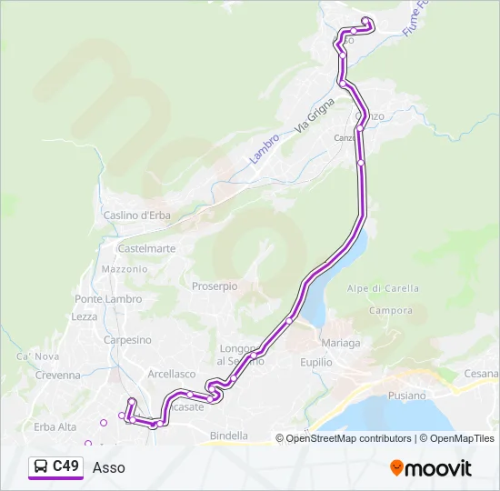 C49 Bus Line Map