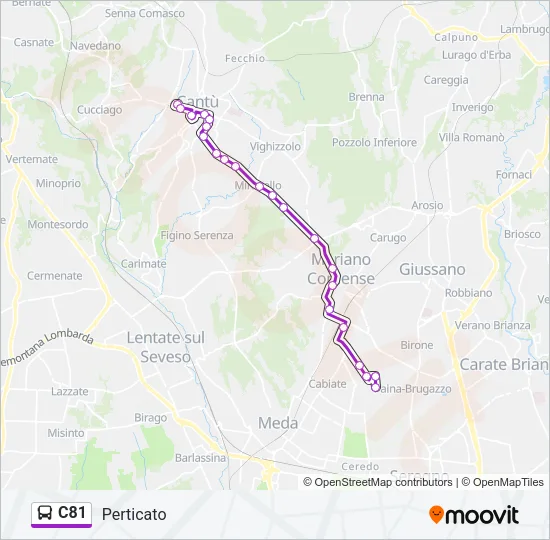 C81 Bus Line Map