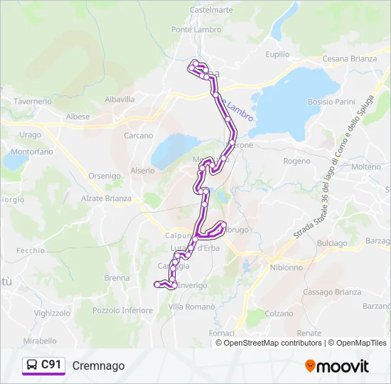 C91 Bus Line Map