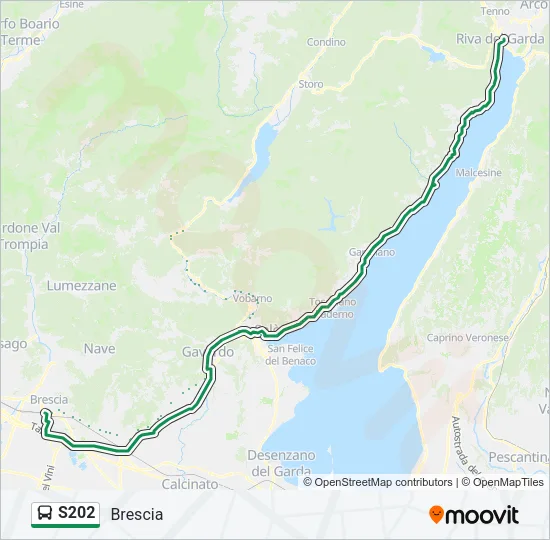 S202 Bus Line Map