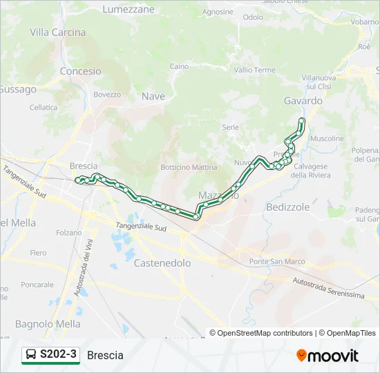 S202-3 Bus Line Map