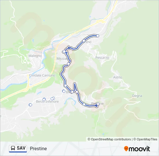SAV Bus Line Map