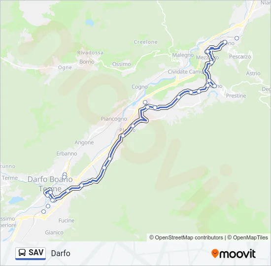 SAV Bus Line Map