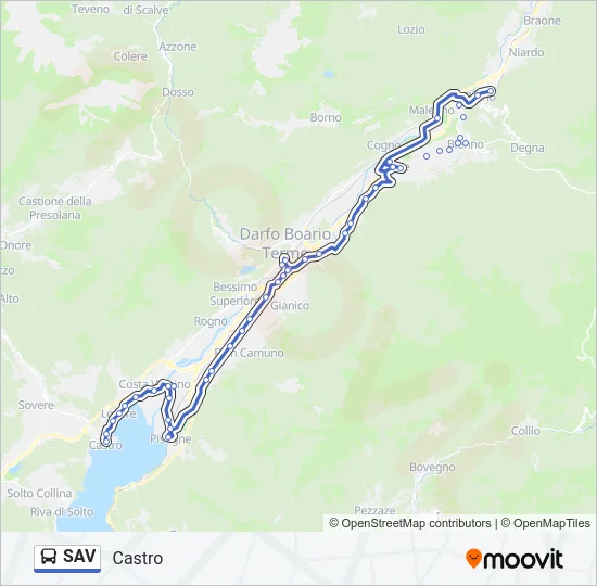 SAV Bus Line Map
