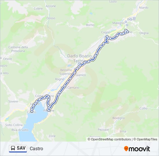 SAV bus Line Map