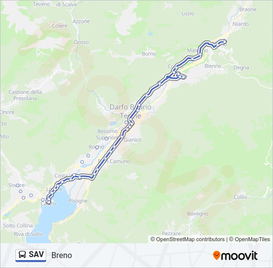 SAV bus Line Map