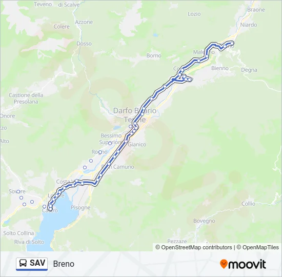 SAV Bus Line Map