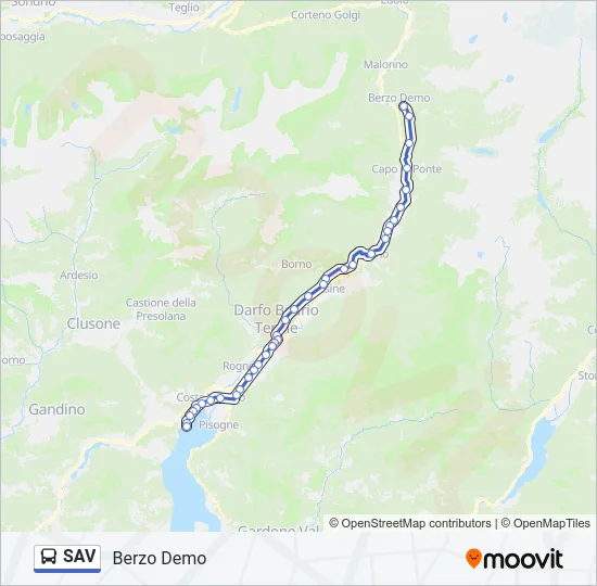 SAV Bus Line Map