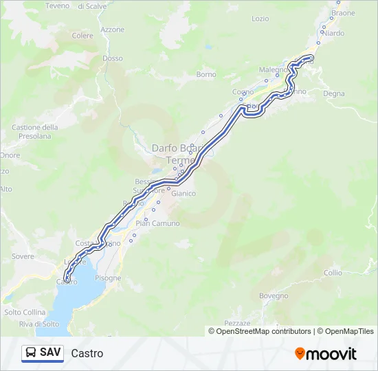 SAV Bus Line Map