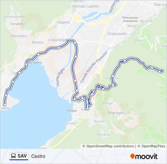 SAV bus Line Map