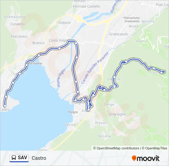 SAV Bus Line Map
