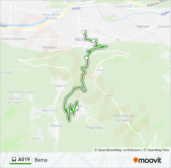 A019 Bus Line Map
