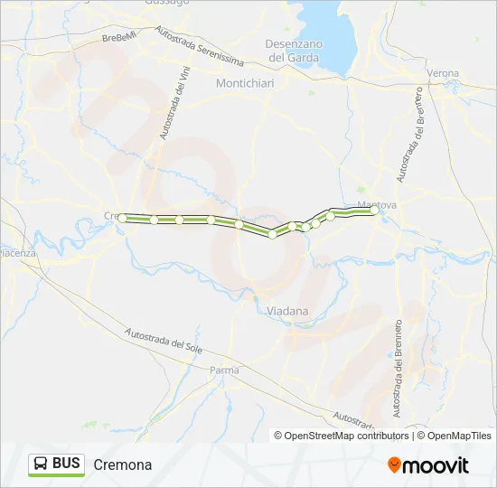 BUS Line Map