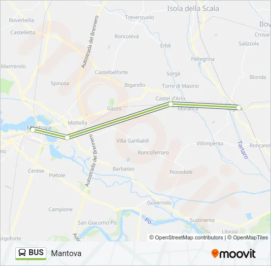 BUS Line Map