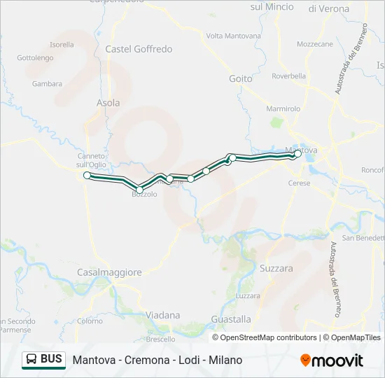 BUS  Line Map
