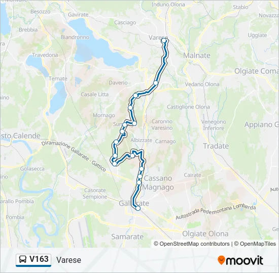 V163 Bus Line Map