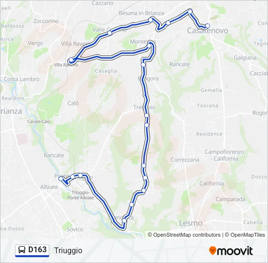 D163 Bus Line Map