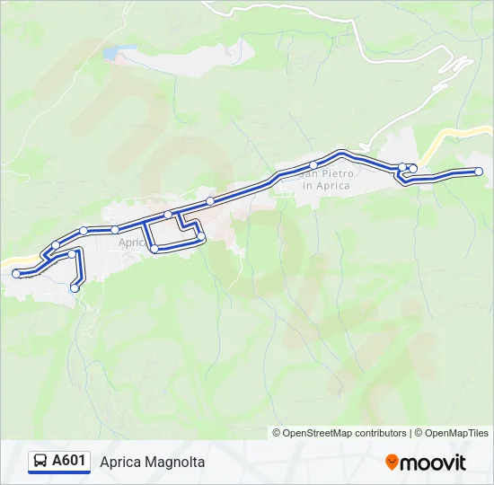 A601 Bus Line Map