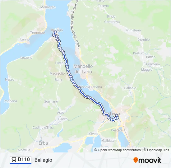 D110 Bus Line Map