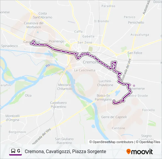 G Bus Line Map