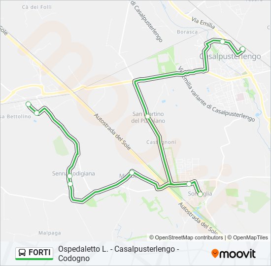 FORTI bus Line Map