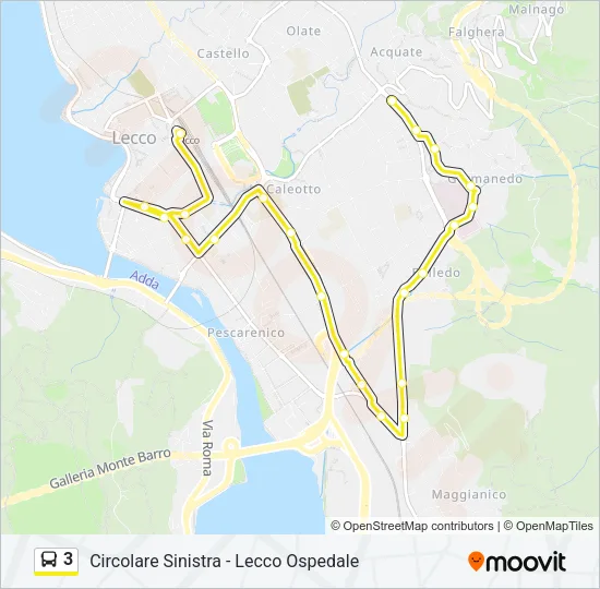 3 Bus Line Map