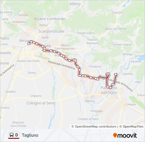 D bus Line Map