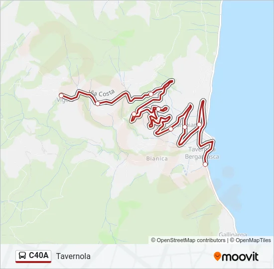 C40A Bus Line Map