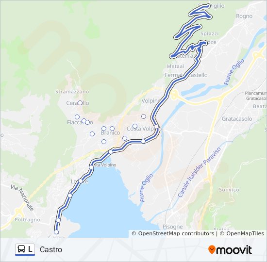 L bus Line Map