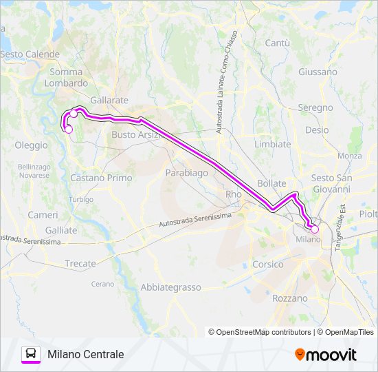 Percorso linea bus ✈ TERRAVISION