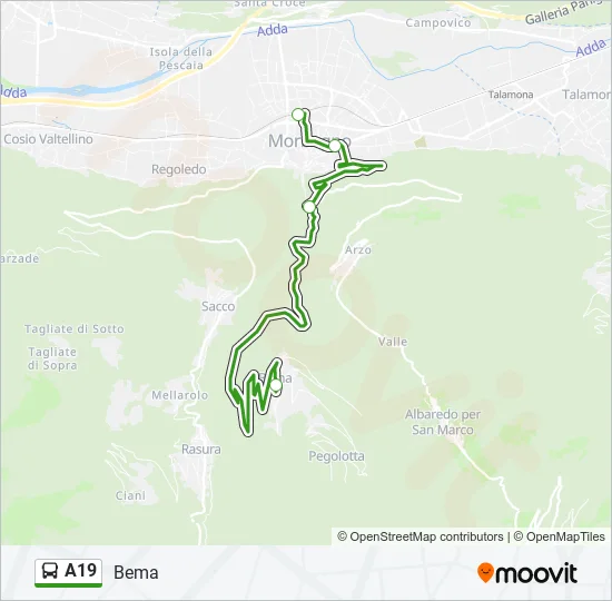 A19 Bus Line Map
