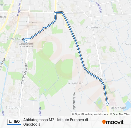Percorso linea bus IEO