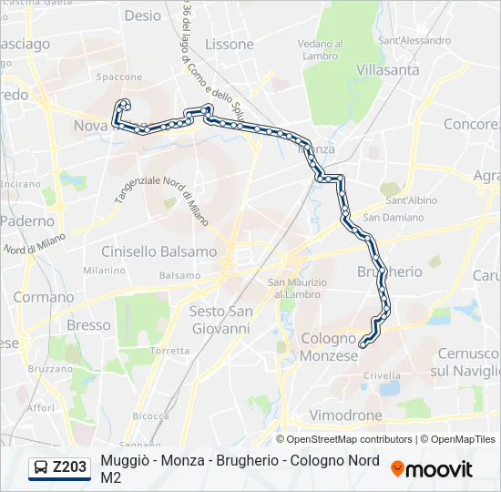 Z203 Bus Line Map