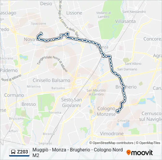 Z203 Bus Line Map