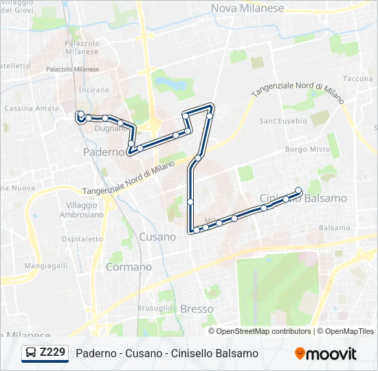 Z229 Bus Line Map