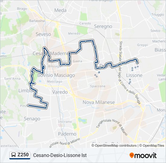 Z250 bus Line Map