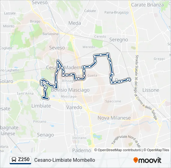 Z250 Bus Line Map
