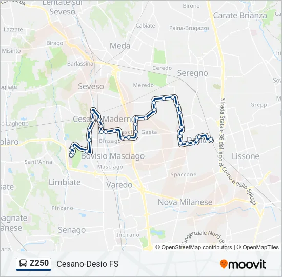 Z250 Bus Line Map