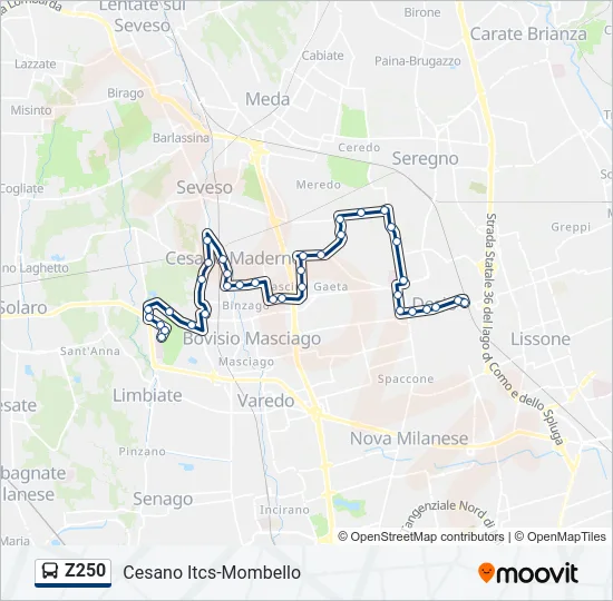 Z250 Bus Line Map