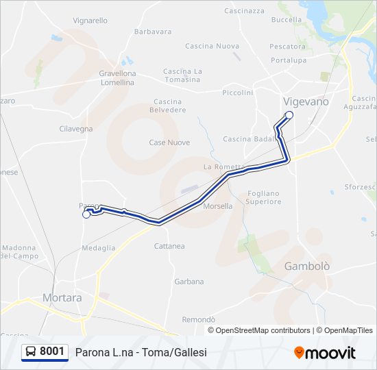 Percorso linea bus 8001