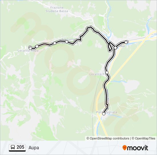 Percorso linea bus 205
