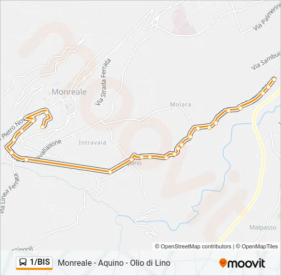 1/BIS Bus Line Map