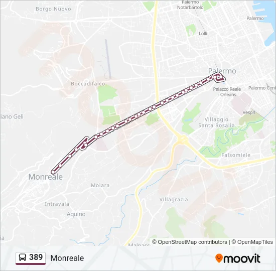 389 Bus Line Map